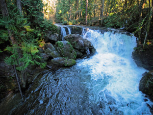 Bellingham's best urban park, Whatcom Falls State Park, Washington State - http://americanexpeditioners.com/whatcom-falls-state-park/