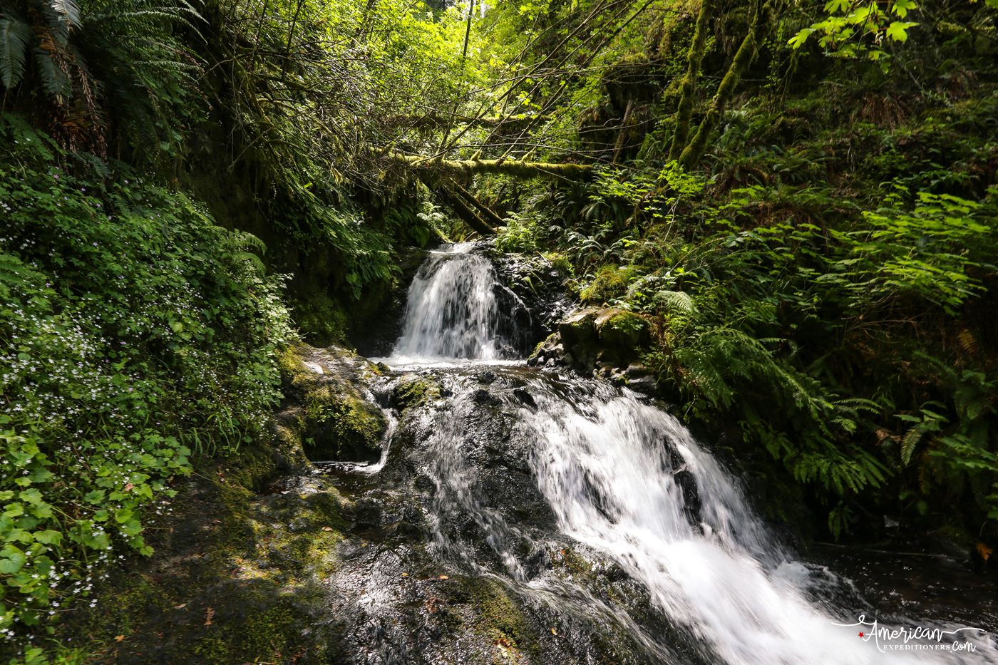 Sheppherds Dell waterfall, a scenic attraction along Historic Columbia River Highway - American Expeditioners http://americanexpeditioners.com/scenic-attractions-along-historic-columbia-river-highway