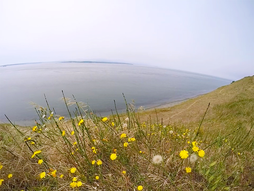 Ebey's Landing Hike, Whidbey Island, Washington - http://americanexpeditioners.com