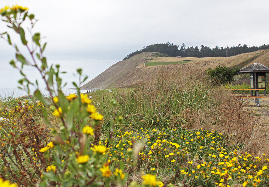 Ebey's Landing Hike, Whidbey Island, Washington - http://americanexpeditioners.com