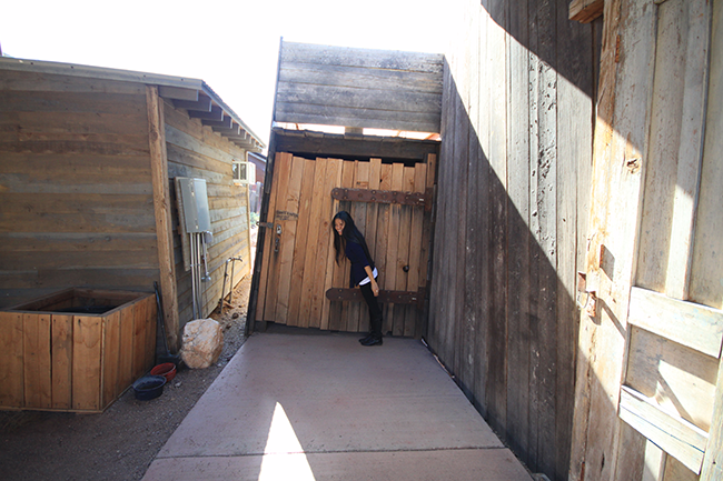 The Mystery Shack, Vortex, Goldfield Ghost Town, Apache Junction, Arizona, AZ