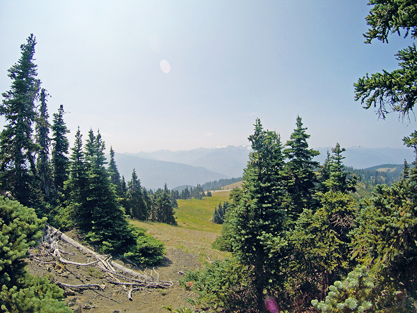 Hurricane Ridge, Olympic National Park, Washington - American Expeditioners http://americanexpeditioners.com