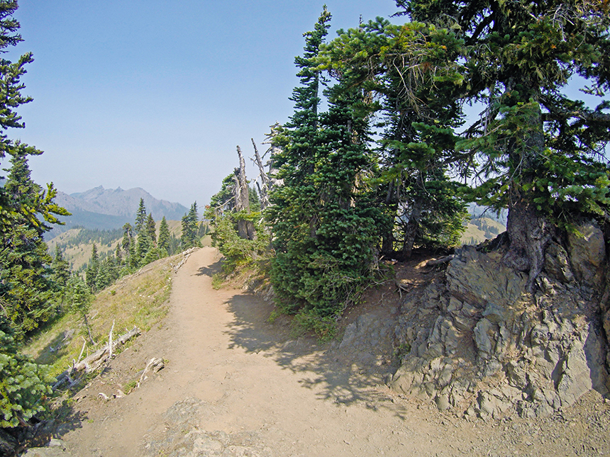 Hurricane Ridge, Olympic National Park, Washington - American Expeditioners http://americanexpeditioners.com