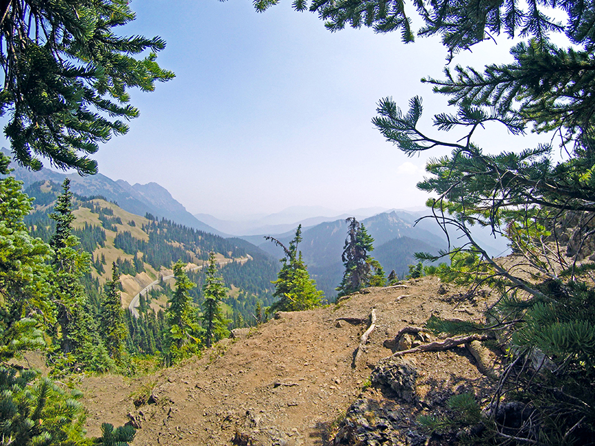 Hurricane Ridge, Olympic National Park, Washington - American Expeditioners http://americanexpeditioners.com