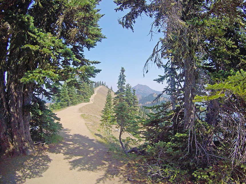 Hurricane Ridge, Olympic National Park, Washington - American Expeditioners http://americanexpeditioners.com