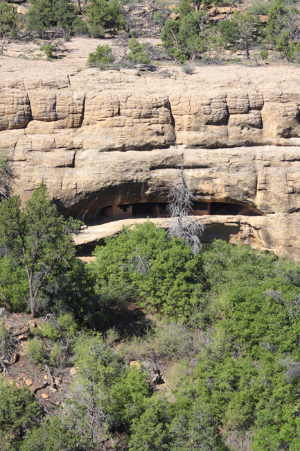 Native American Indian cliff dwelling ruins of Mesa Verde National Park, Colorado, CO, USA