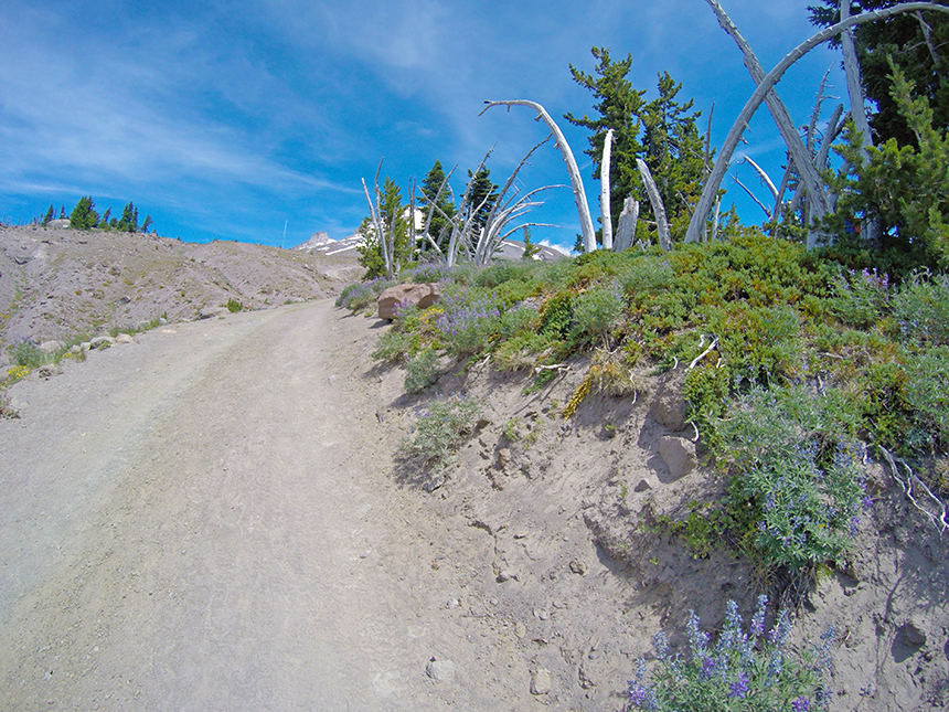 Mount Hood hiking trail, Oregon - http://americanexpeditioners.com