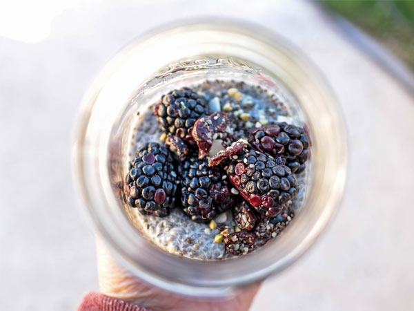 Paleo Vanilla Chia Pudding