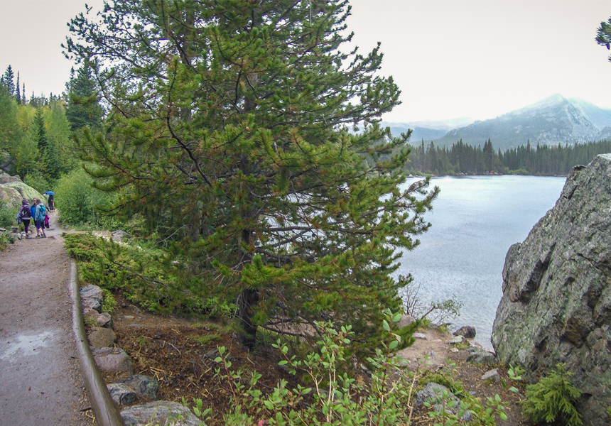 Bear Lake loop, Rocky Mountain National Park, CO - American Expeditioners http://americanexpeditioners.com