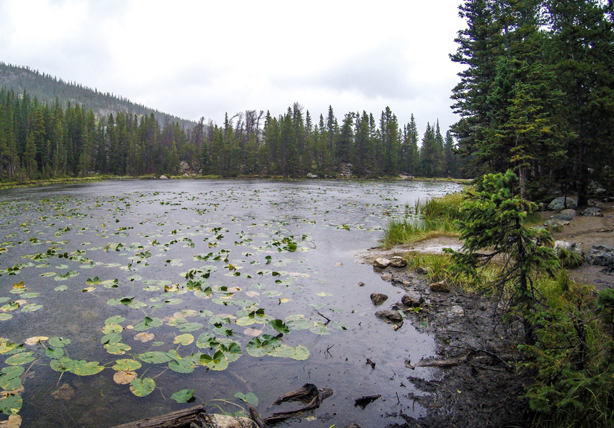 Nymph Lake, Rocky Mountain National Park, CO - American Expeditioners http://americanexpeditioners.com