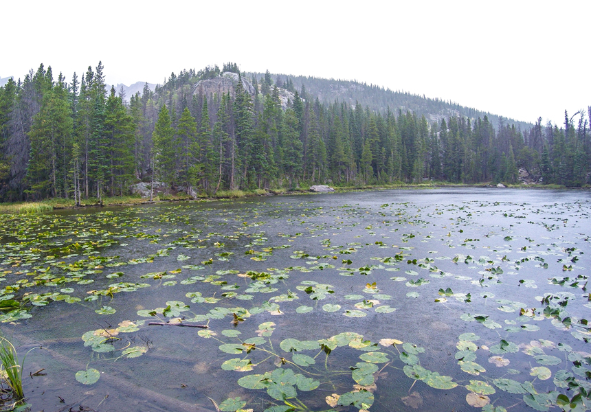 Nymph Lake, Rocky Mountain National Park, CO - American Expeditioners http://americanexpeditioners.com