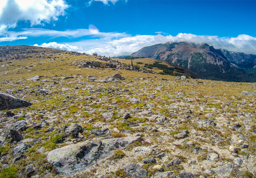 Ute Meadow Trail, Rocky Mountain National Park, CO - American Expeditioners http://americanexpeditioners.com