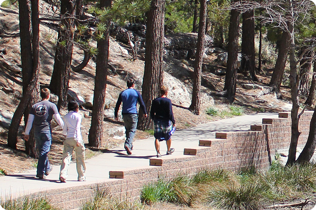 rose lake canyon, mount lemmon, tucson, arizona