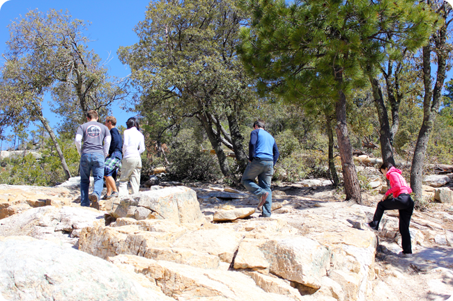 rose lake canyon, mount lemmon, tucson, arizona