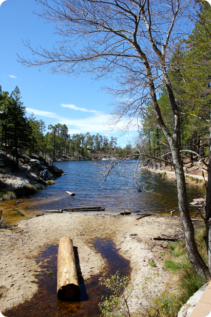 rose lake canyon, mount lemmon, tucson, arizona