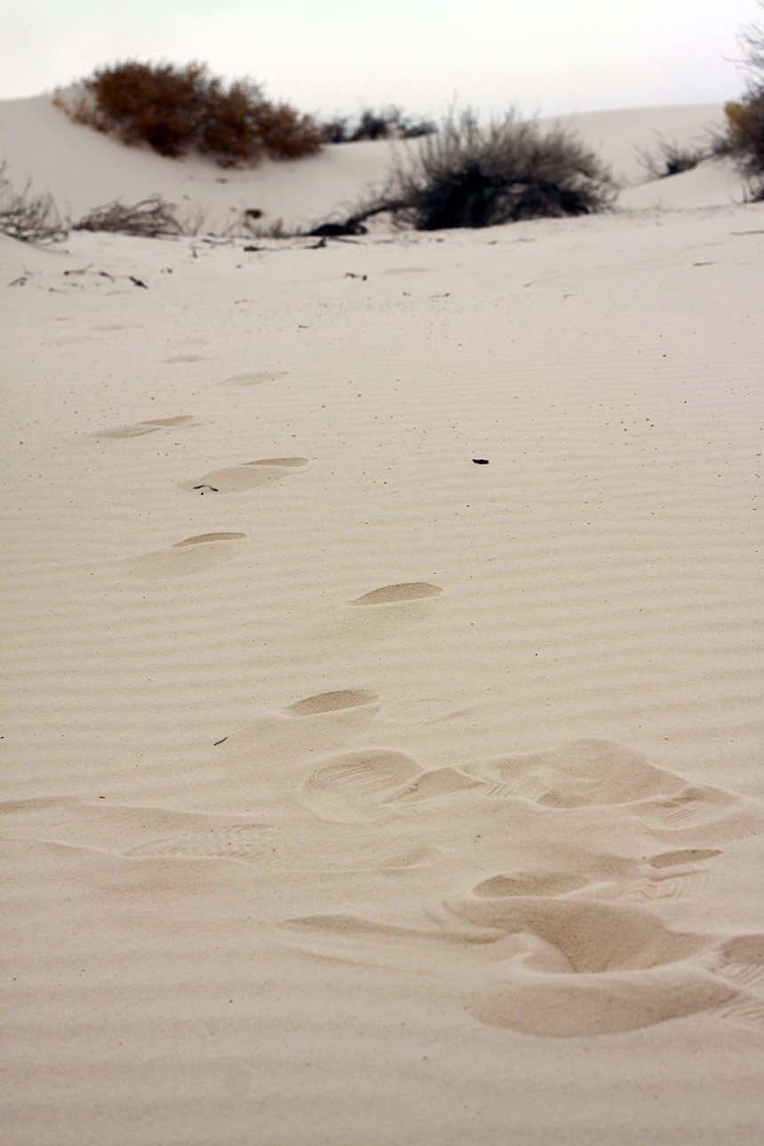 White Sands National Monument, New Mexico - American Expeditions http://americanexpeditioners