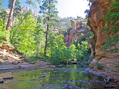 West Fork of Oak Creek, Sedona, Arizona, AZ