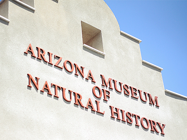 Arizona Museum of Natural History