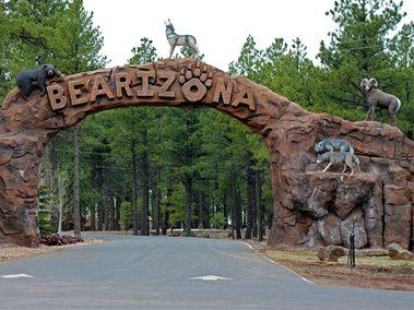Bearizona