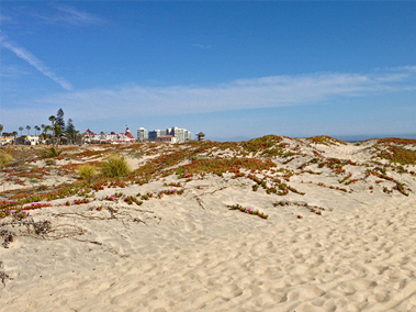 San Diego