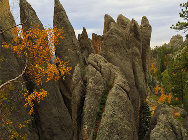 Custer State Park