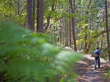 Green Mountain Trail