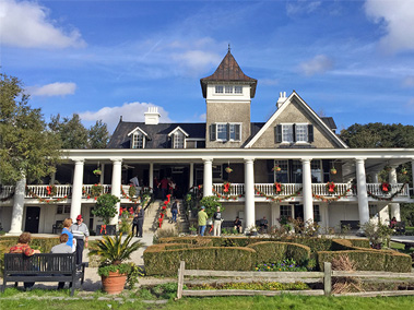 Magnolia Plantation