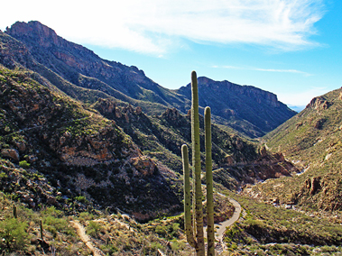Sabino Canyon Trail