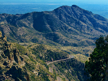 Sky Islands, Mount Lemmon