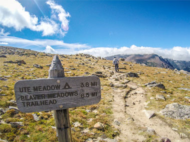 Ute Meadow