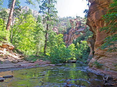 West Fork of Oak Creek Trail