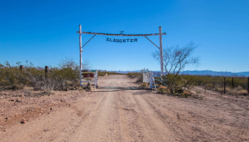 slaughter-ranch02