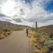 saguaro-national-park-east04