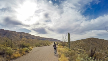 saguaro-national-park-east04
