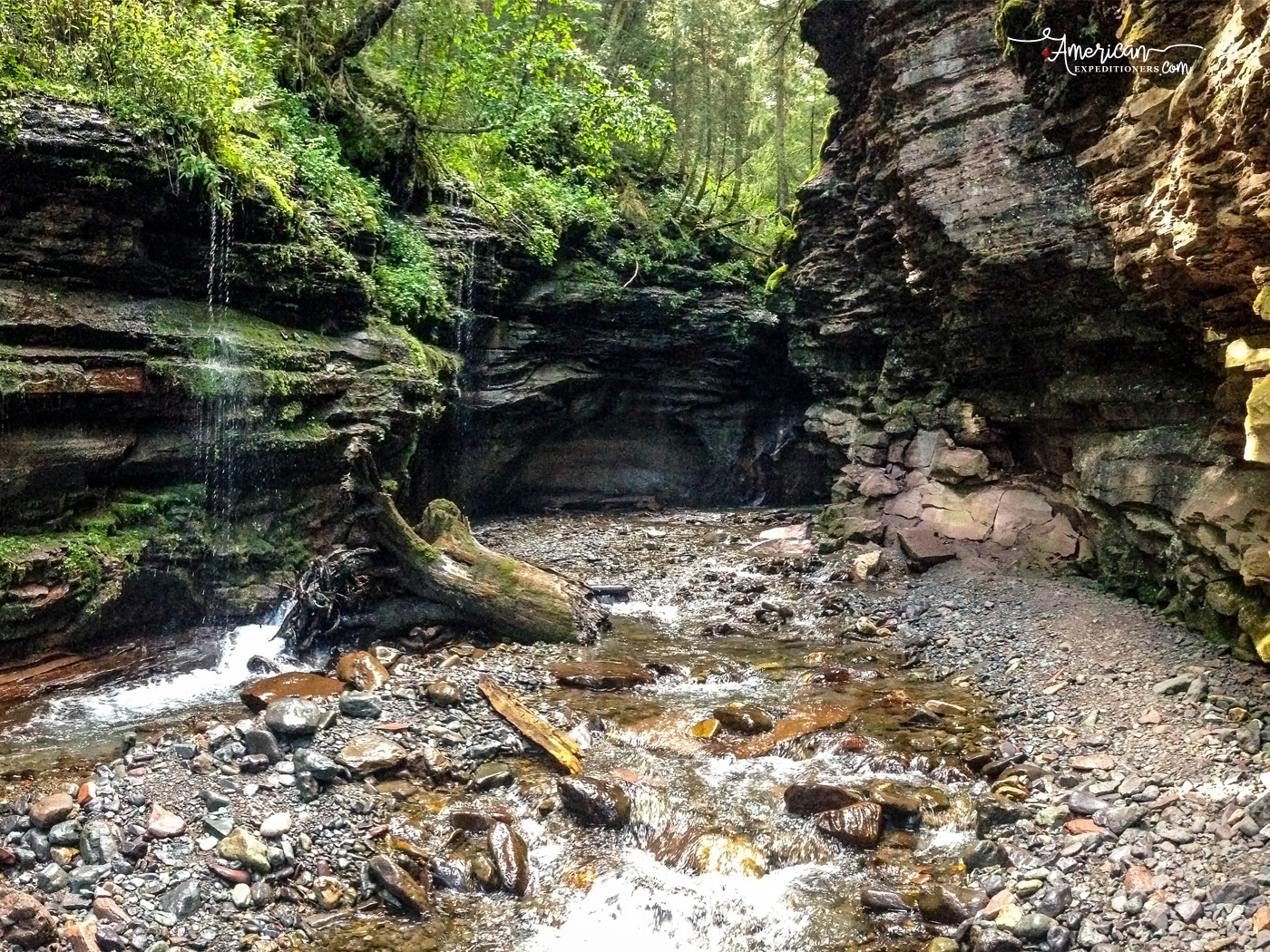 Hiking to Little Hawaii, a secret hike on the Bear Creek Trail in Telluride, Colorado - /little-hawaii-telluride-secret-trail