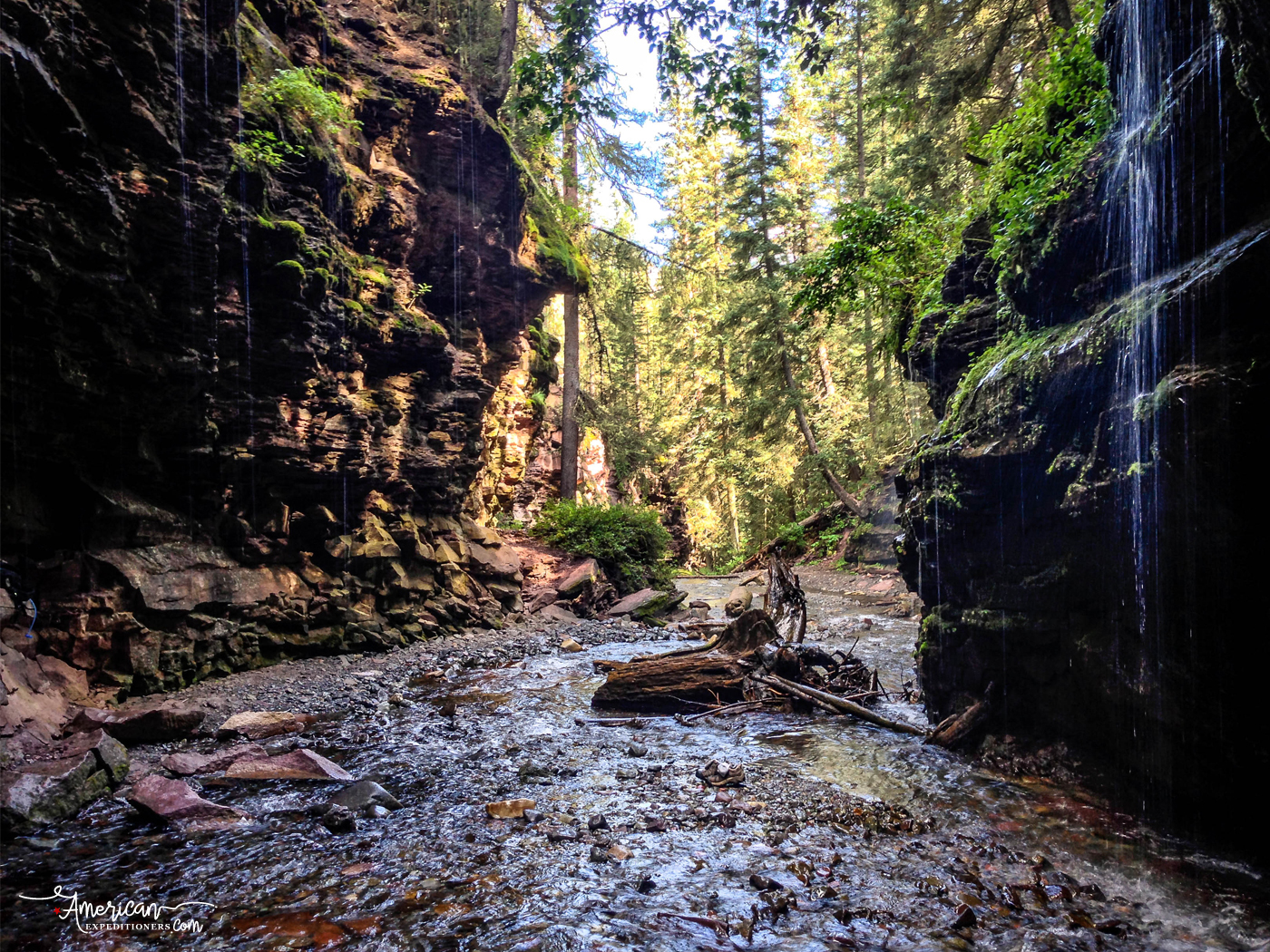 Hiking to Little Hawaii, a secret hike on the Bear Creek Trail in Telluride, Colorado - /little-hawaii-telluride-secret-trail
