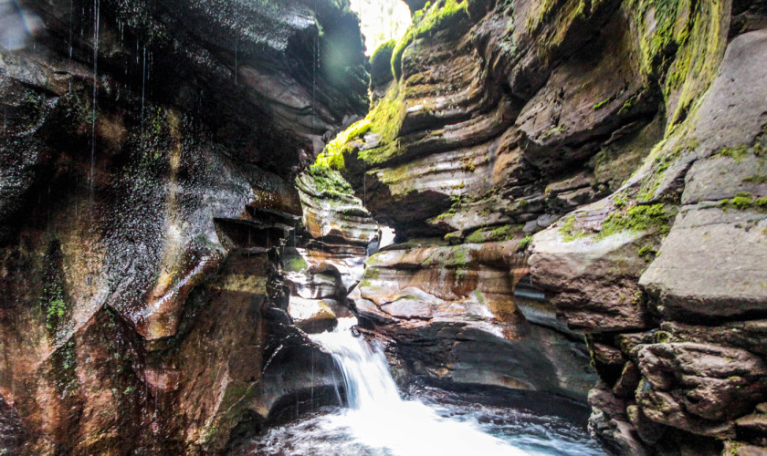 little-hawaii-bear-creek17