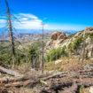 lemmon-rock-lookout-trail11