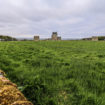 ackergill-tower16
