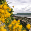 dumbarton-castle10