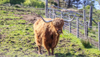 isle-of-skye01