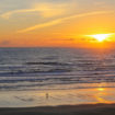 newport06