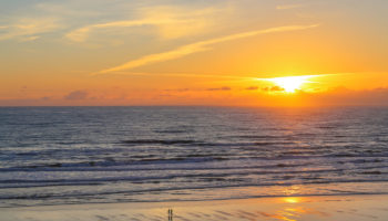 newport06