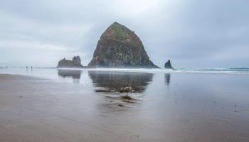 cannon-beach04