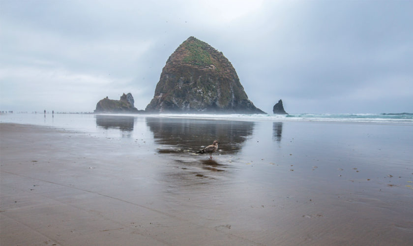 cannon-beach04