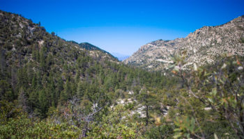 green-mountain-trail05