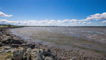 padilla-bay-shore-trail02