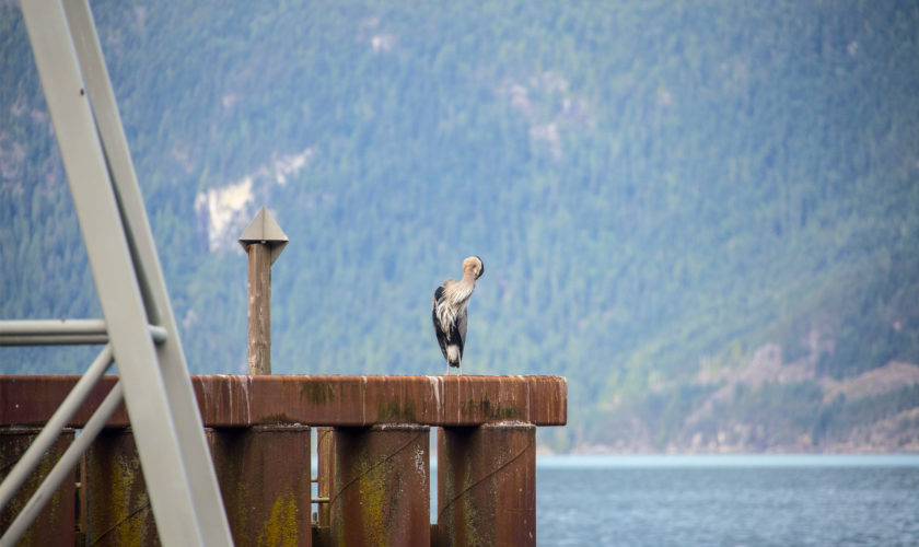 porteau-cove03