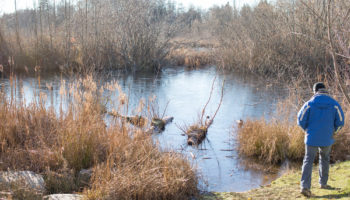 narbeck-wetland-sanctuary05