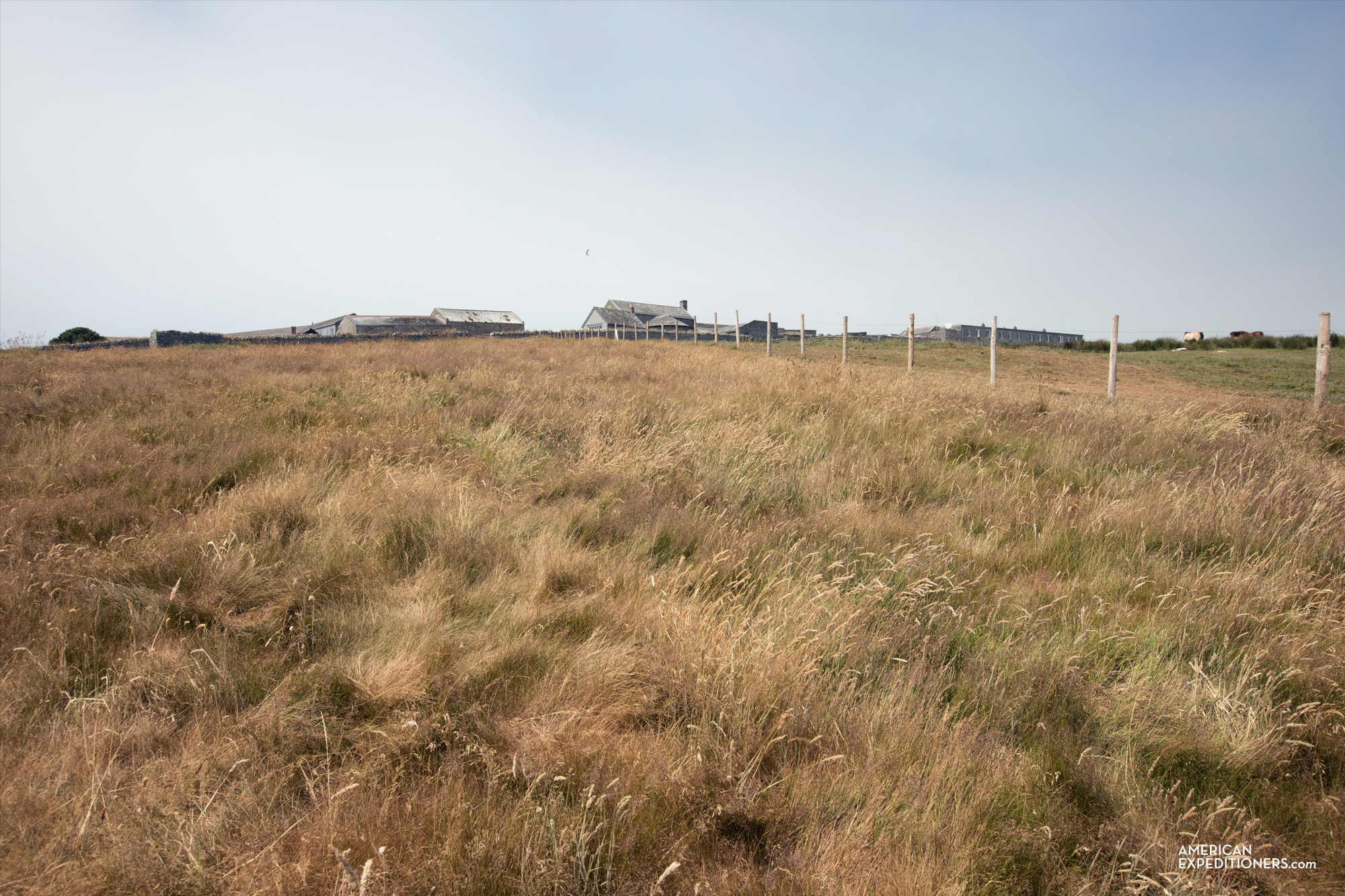 Lundy Island, England, UK - AmericanExpeditioners /day-trip-lundy-island